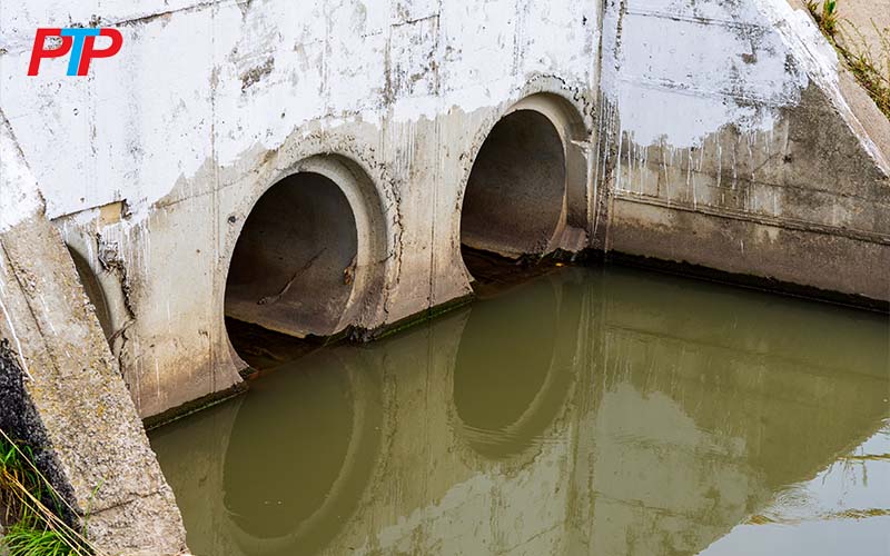 Vi sinh vật trong xử lý nước thải