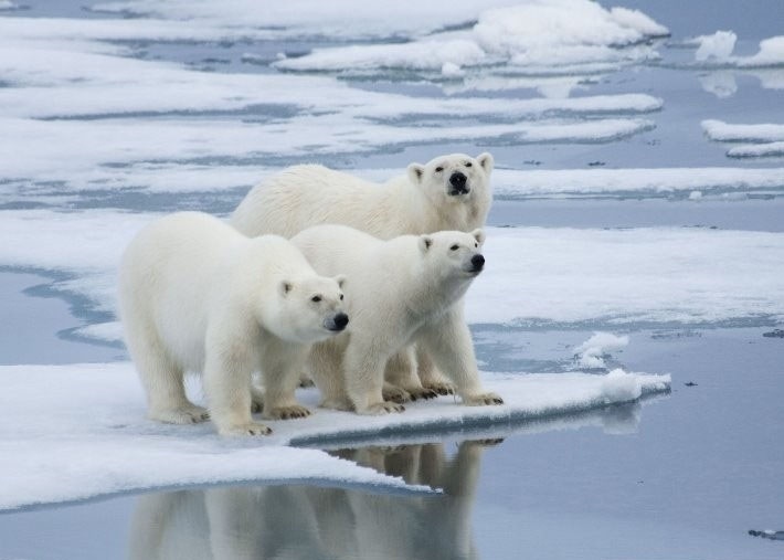 hien-tuong-hieu-ung-nha-kinh-la-gi-4